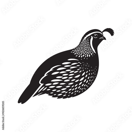 Common Quail Vector - Common Quail Silhouette - Minimalist Common Quail Illustration.