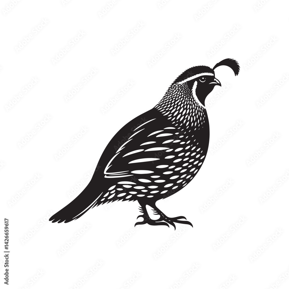 Fototapeta premium Common Quail Vector - Common Quail Silhouette - Minimalist Common Quail Illustration.