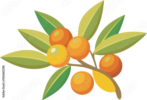 A vibrant vector illustration showcasing the delicious, nutrient-rich sea buckthorn fruit with its bright orange color and leaves.