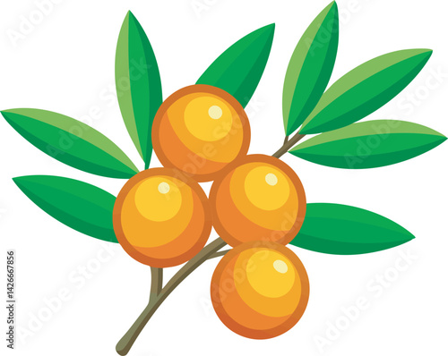 A vibrant vector illustration showcasing the delicious, nutrient-rich sea buckthorn fruit with its bright orange color and leaves.