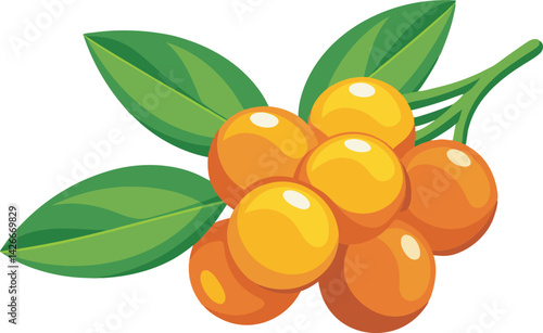A vibrant vector illustration showcasing the delicious, nutrient-rich sea buckthorn fruit with its bright orange color and leaves.