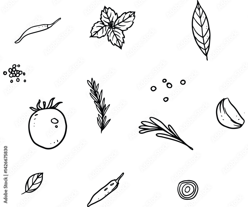 Fototapeta premium Vector illustration of onion isolated on white background for kids coloring book.