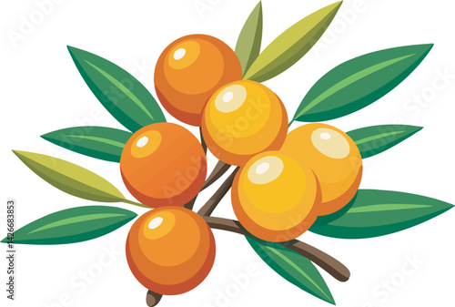 A vibrant vector art illustration showcasing the delicious and tangy sea buckthorn fruit, highlighting its bright orange berries.