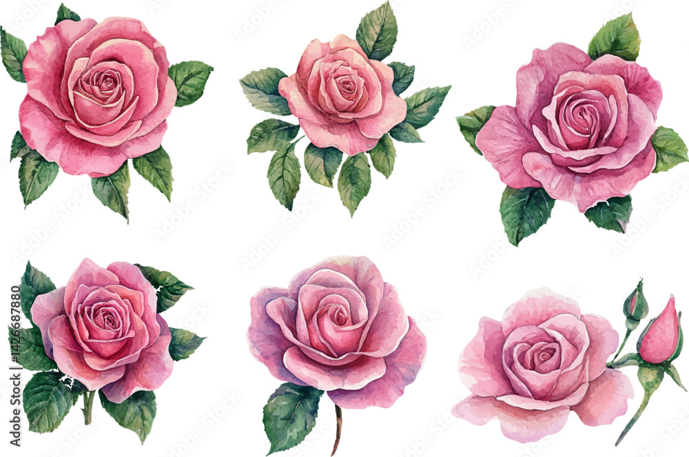 set of roses vector set of roses vector