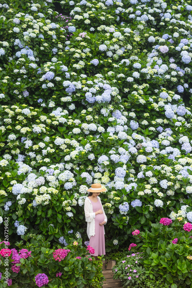 Expecting Mother Walking in Colorful Hydrangea Flower Garden