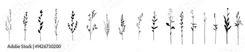 Detailed black and white vector illustration of various plant icons arranged in a horizontal line