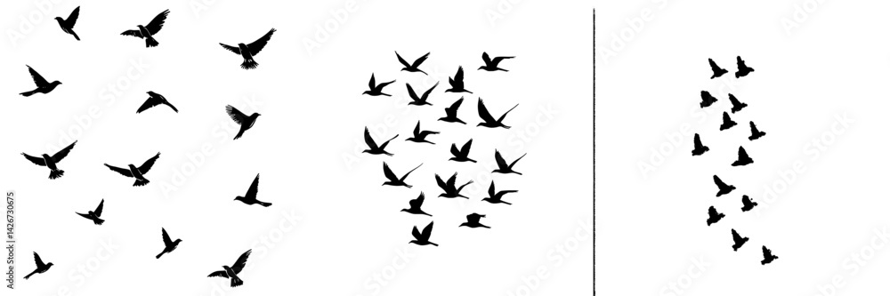 Various silhouettes of birds in flight representing freedom and nature Various silhouettes of birds in flight representing freedom and nature
