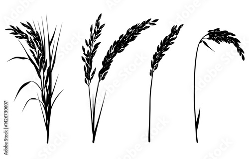 Vector illustration of various cereal plant silhouettes with detailed foliage and grain clusters