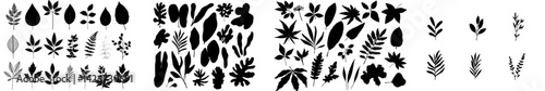 A set of silhouetted leaves from maple, birch, and oak trees, presented as hand-drawn illustrations of autumn, isolated on a white background
