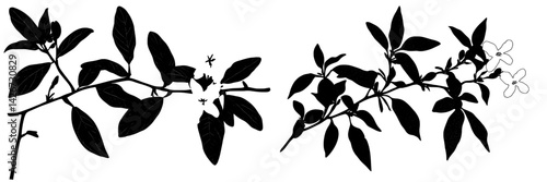 Modern illustration featuring a jasmine black and white flower silhouette on a white background with a bird and other icons, available as an SVG and suitable for a holiday t-shirt with hand-drawn