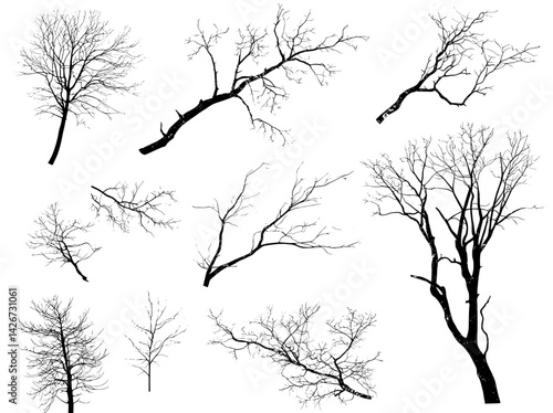 A hand-drawn dead tree is presented alongside the silhouettes of a set of bare, naked trees