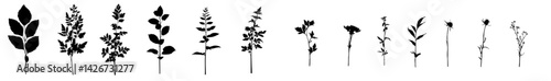 Retro branches and leaves are showcased in a set of silhouettes, created using hand-drawn artistic field herbs in black ink, evoking a vintage botanical florals style