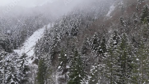 Aerial perspective revealing snow-covered river meandering through winter woodland, pristine white landscape blanketing dense forest terrain