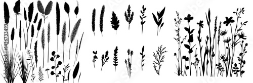 The essence of nature in spring and summer is captured in a charcoal doodle sketch of grass silhouettes, set against the backdrop of a botanical garden's wildflower meadows, adorned with intricate