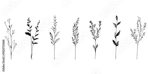 A compilation of minimalist and intricate hand-drawn florals, foliage, and twigs presented in a line art aesthetic, set against a beige backdrop
