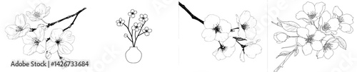 A hand-drawn Sakura flower branch is depicted in a black floral sketch, featuring cherry blossom Japanese twigs in line art, with spring botanical elements including petals and leaves, showcasing a
