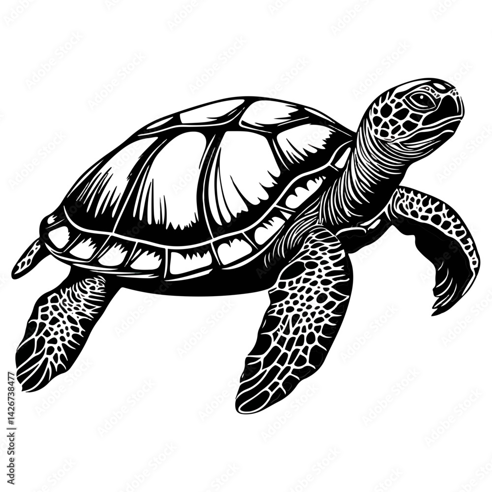 Fototapeta premium turtle, reptile, vector, transparent background, black and white style