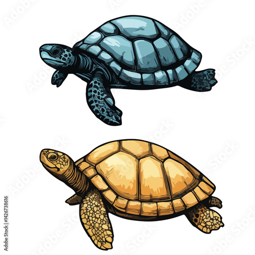 turtle, reptile, vector, transparent background, various