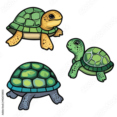 turtle, reptile, vector, transparent background, various