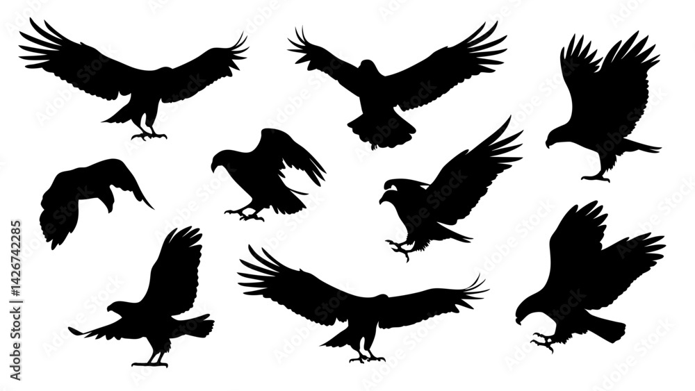 Obraz premium set of eagle silhouette vector on white background