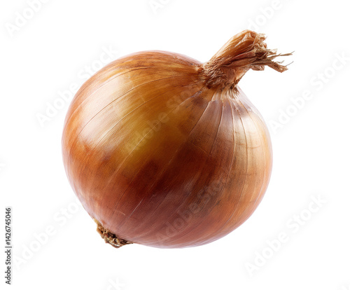 Wallpaper Mural Fresh brown onion for culinary use and healthy recipes Torontodigital.ca