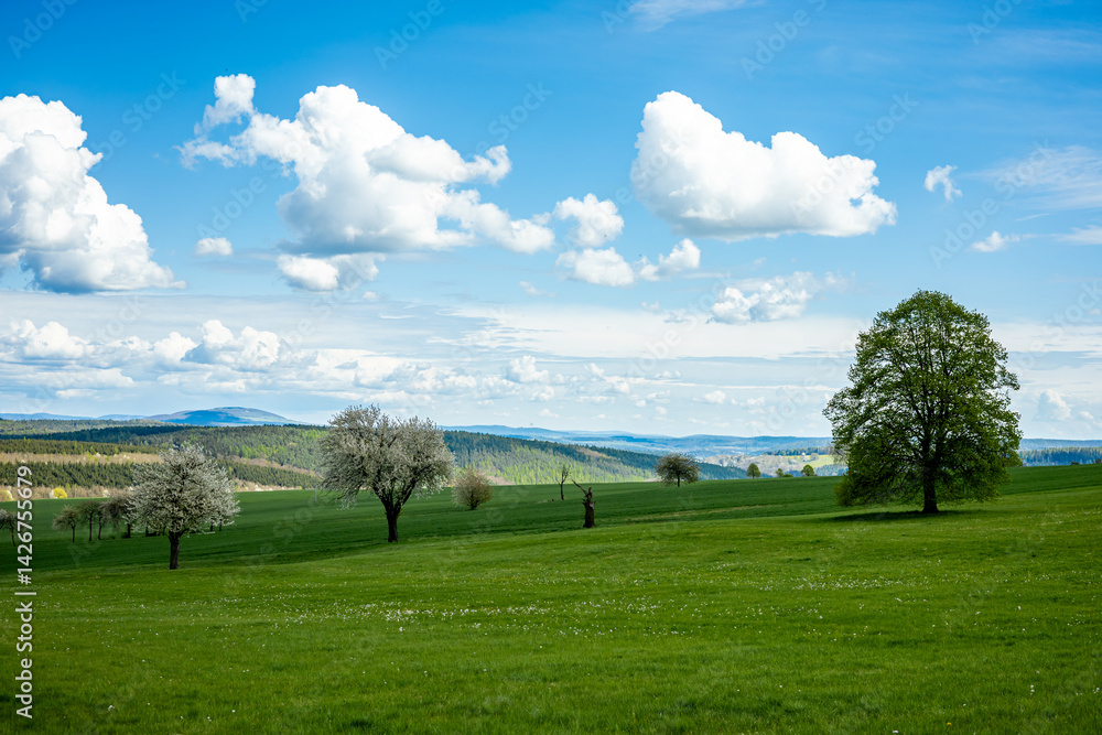 Frühlingshafter Spaziergang an einem herrlichen Sonnentag in der Thüringer Rhön bei Hümpfershausen - Thüringen - Deutschland