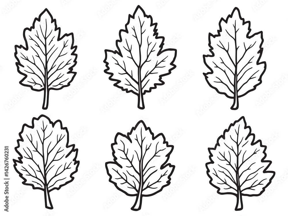 Hickory leaf minimalistic line art depicting nature in its simplest form Hickory leaf minimalistic line art depicting nature in its simplest form