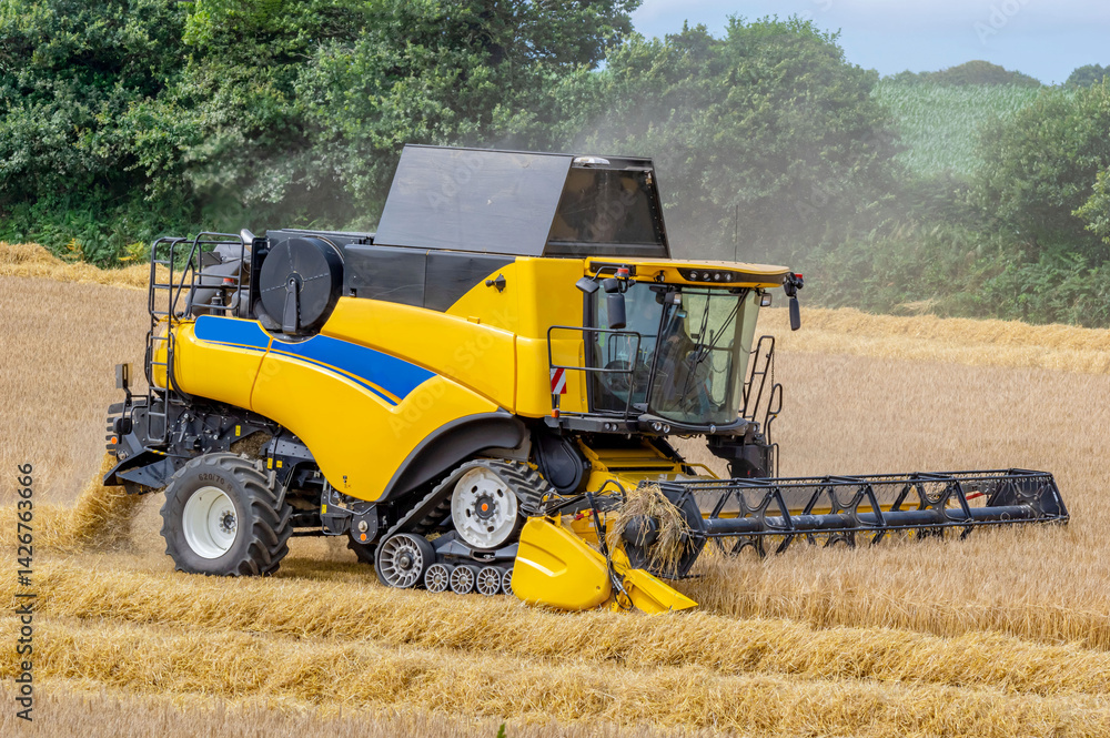 Obraz premium Une moissonneuse batteuse récolte du blé 