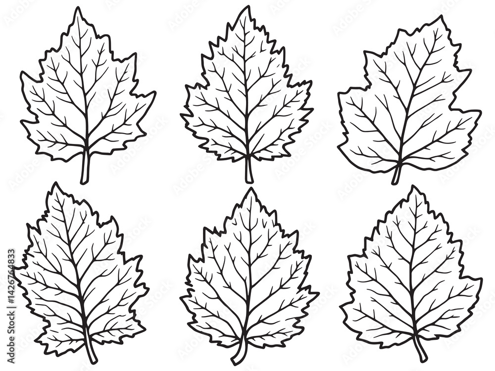 Hornbeam leaf line art minimal nature inspired elegant floral drawing Hornbeam leaf line art minimal nature inspired elegant floral drawing