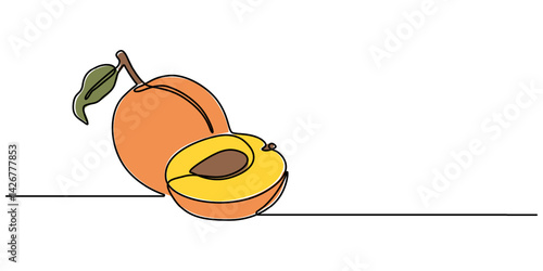 apricot halves continuous one line drawing, drawn by a solid dark line an apricot and a half of an apricot on a background of abstract orange and brown spots on a white background, Apricot pro vector.