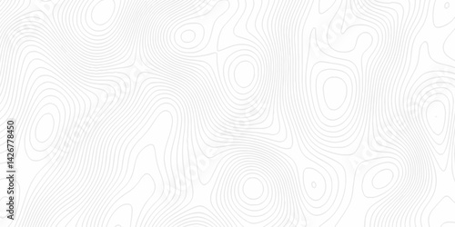 White topography topology vector white background fresh contour map texture. white seamless pattern Abstract background with a wave Topography and geography map grid abstract backdrop.