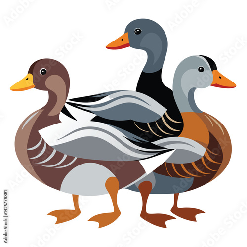 Gadwall birds set isolated shilhotee vector on white background