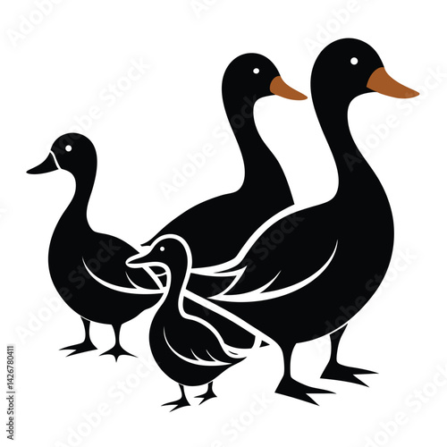 Gadwall birds set isolated shilhotee vector on white background