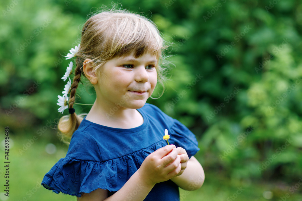 Little preschool girl with braids and daisy flowers in long blond hairs. Close-up of toddler child. Summer concept. Children outdoors with daisies flower. Playing he loves me.