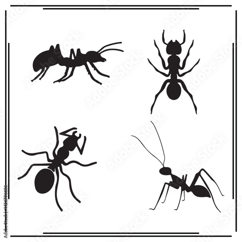 Ant silhouette, Ant illustration ,Ant clipart, Ant vector , black Ant ,Ant illustration on white background,