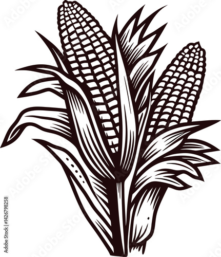 Detailed monochrome of corn on cob with leaves in vintage.