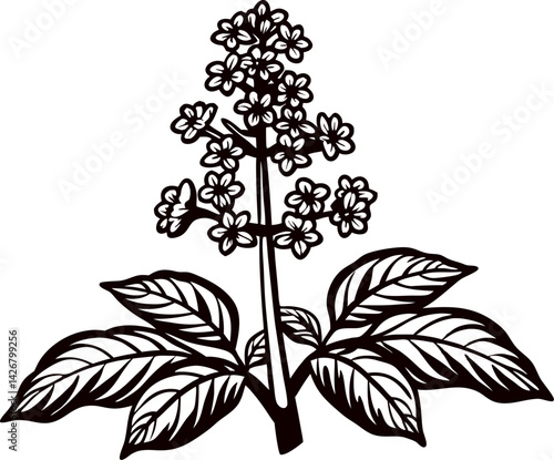 Black and white floral of a stylized flower with leaves.