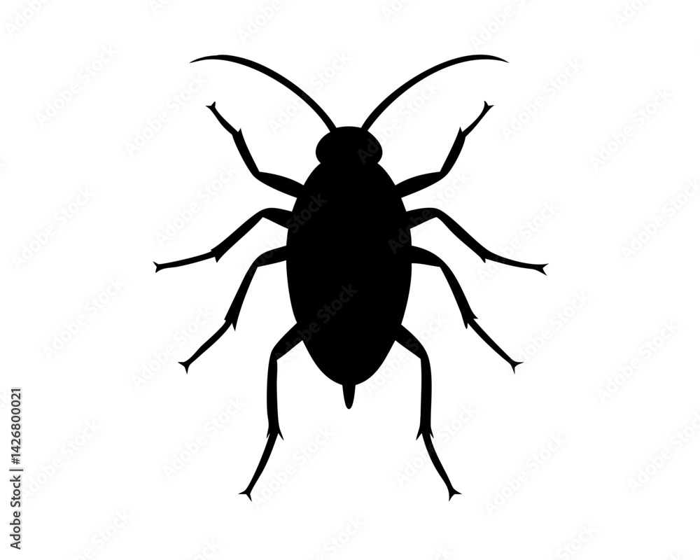 Roach isolated on white background Roach isolated on white background