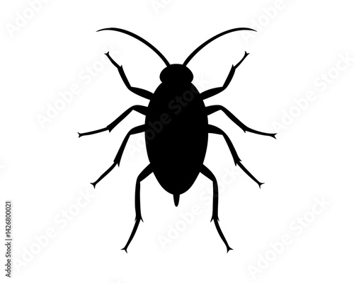 Roach  isolated on white background