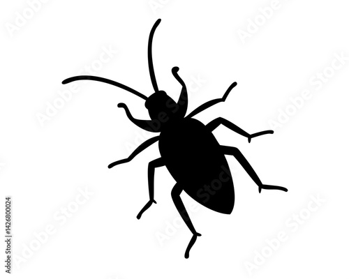 Roach  isolated on white background