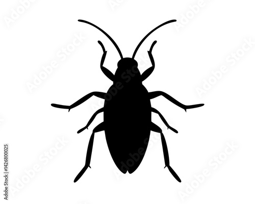 Roach  isolated on white background