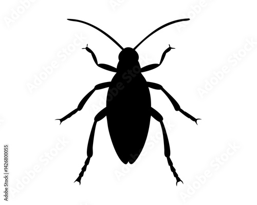 Roach  isolated on white background