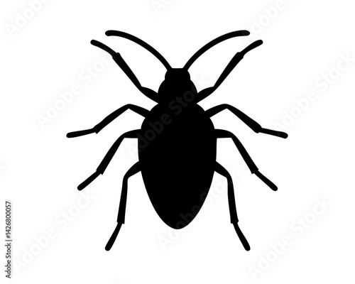 Roach  isolated on white background