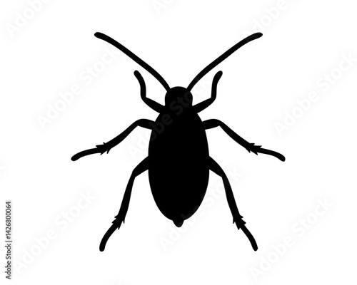 Roach  isolated on white background