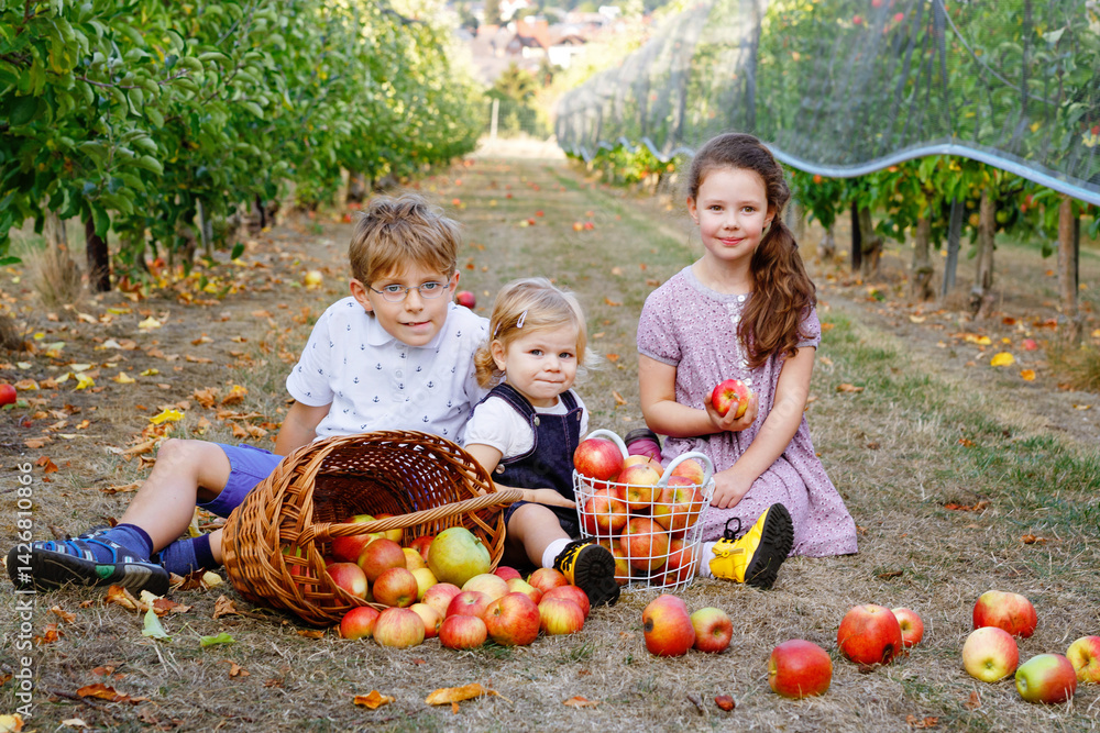 Portrait of two little girls and kid boy with red apples in organic orchard. Happy siblings, children, brother and sisters picking ripe fruits from trees and having fun. Family of three.