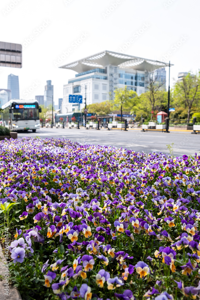 Flowerbed on a city street at Shanghai China, modern buildings and cloudy sky