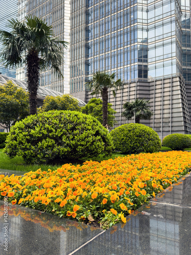 Shanghai city high rise buildings and colorful flowerbed, China