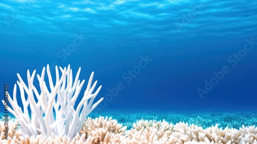 Obraz na płótnie Beneath the clear turquoise waters, diverse coral structures rise from the ocean floor. Light filters through, illuminating the underwater paradise, showcasing marine biodiversity w salonie