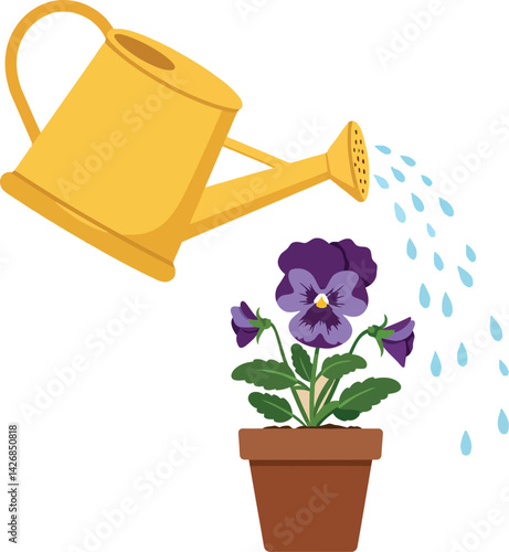 Watering can pouring water on purple pansy flower pot vector illustration gardening care 