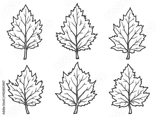 Poplar leaf line art delicate foliage drawing for home decor